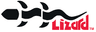 Lizard NDE Logo
